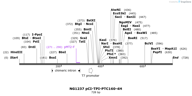 113979_map