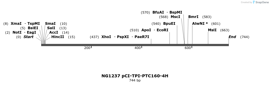 113980_map