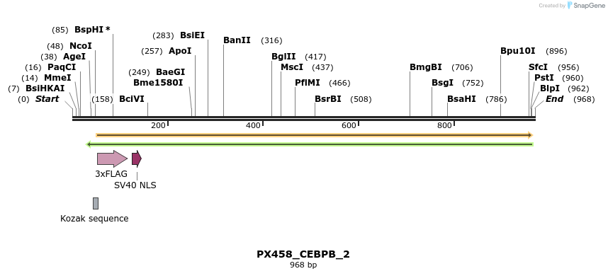 113981_map