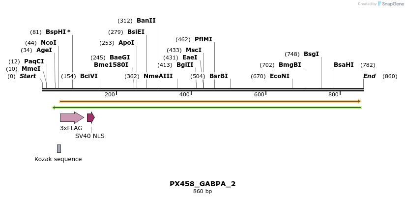 113999_map