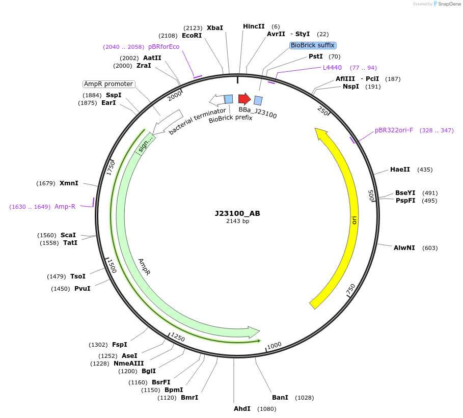 114004_map
