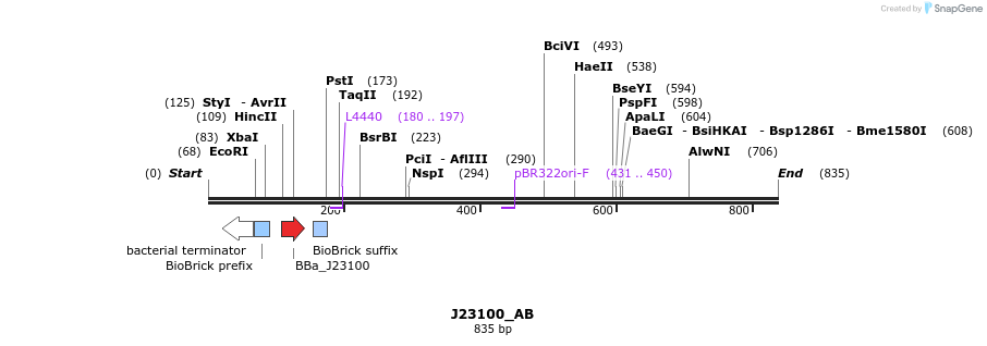 114005_map