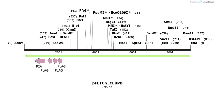 114007_map