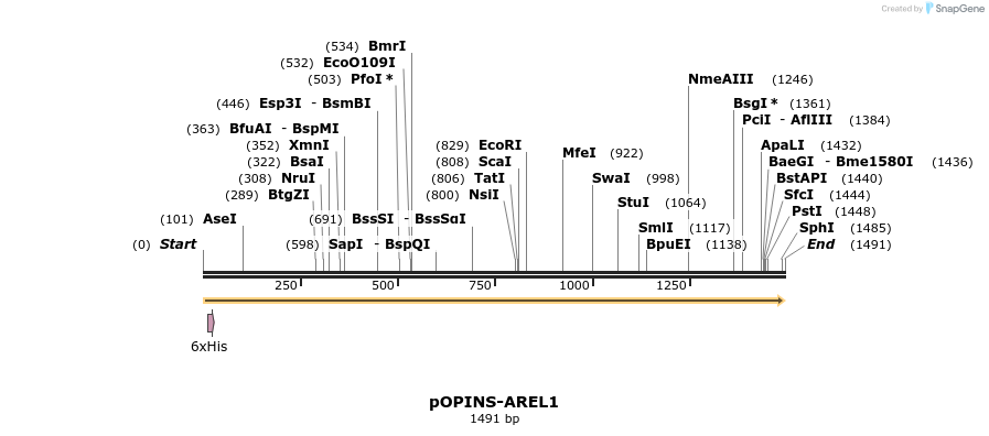 114019_map