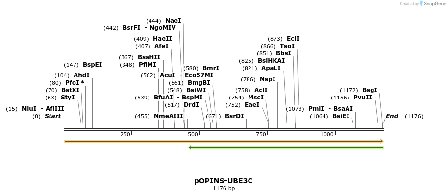 114020_map