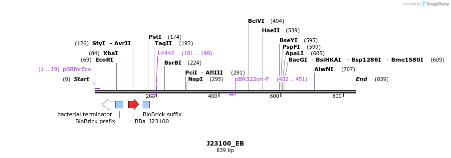 114022_map