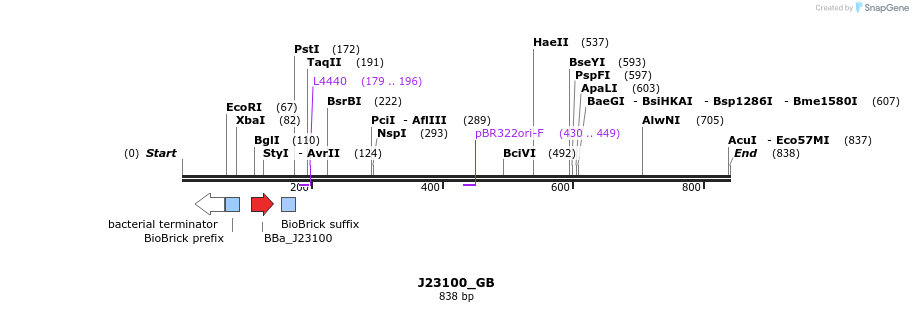 114026_map