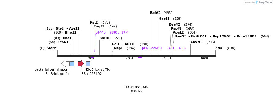 114028_map