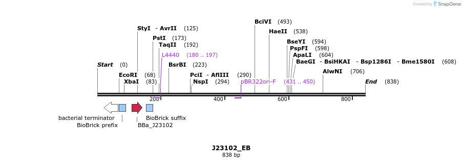 114030_map
