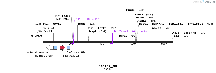 114034_map