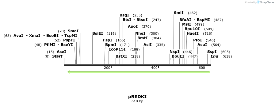 114038_map