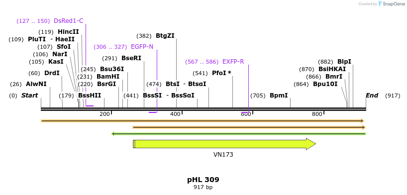 114040_map