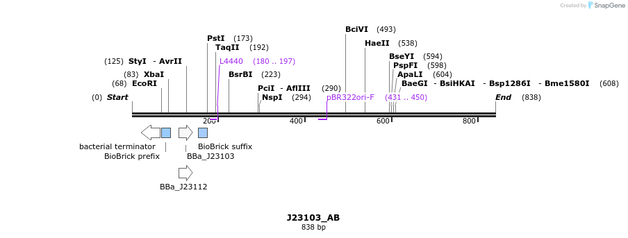 114048_map