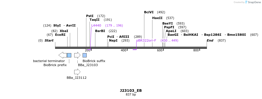 114051_map