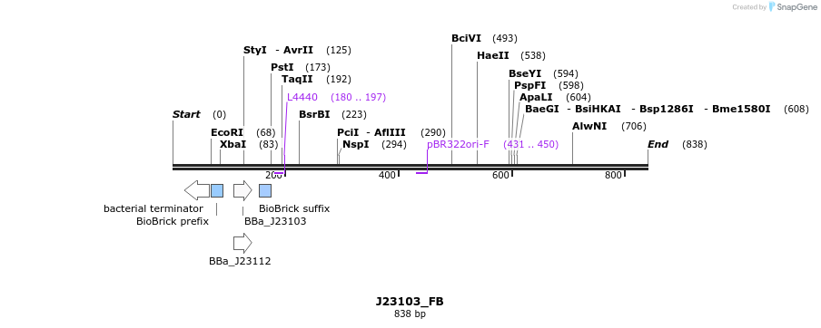 114055_map