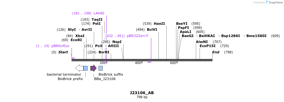 114062_map