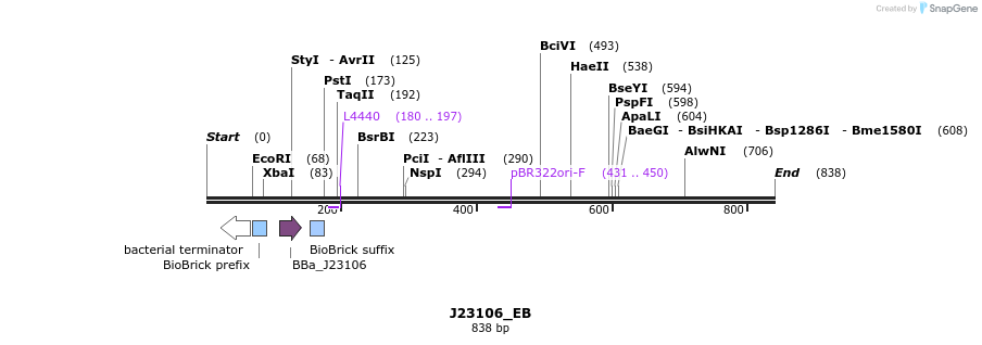 114078_map