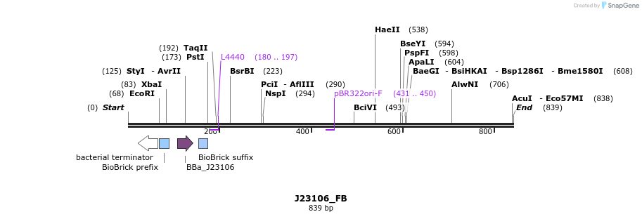 114080_map