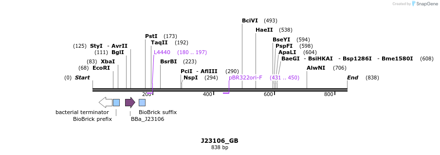 114082_map