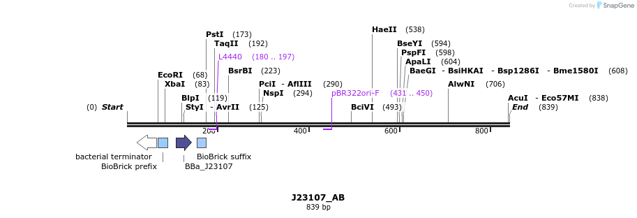 114084_map