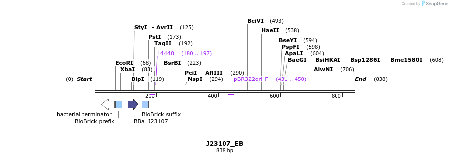 114086_map