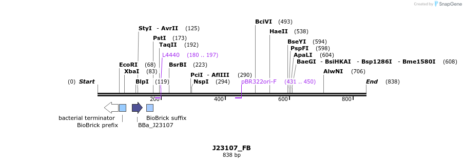 114088_map