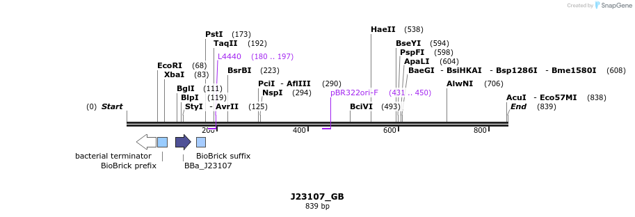 114090_map