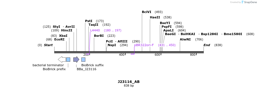 114095_map