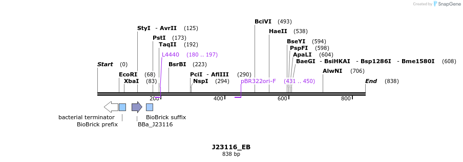 114097_map