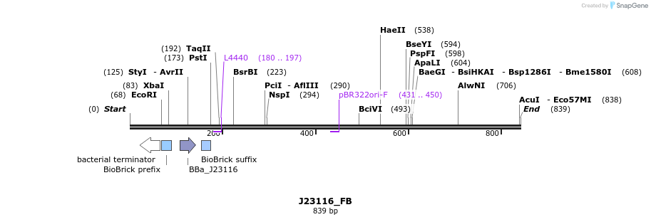114099_map
