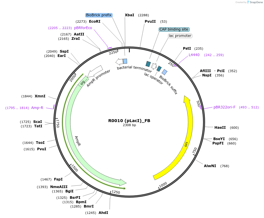 114111_map