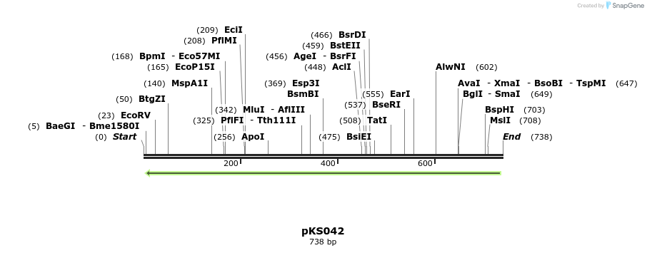 114118_map