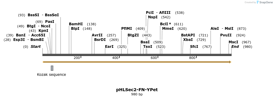 114121_map