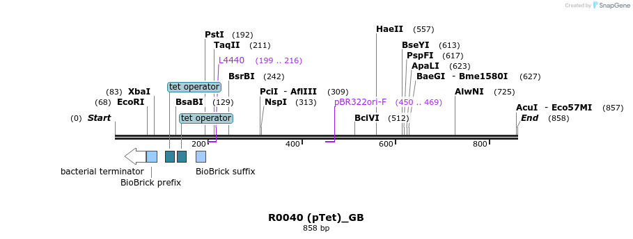 114126_map