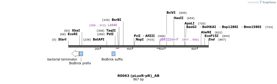 114128_map