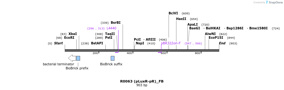 114132_map
