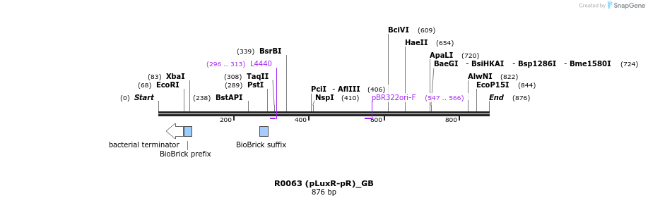 114134_map