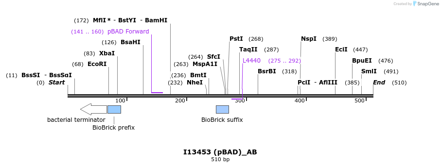 114136_map
