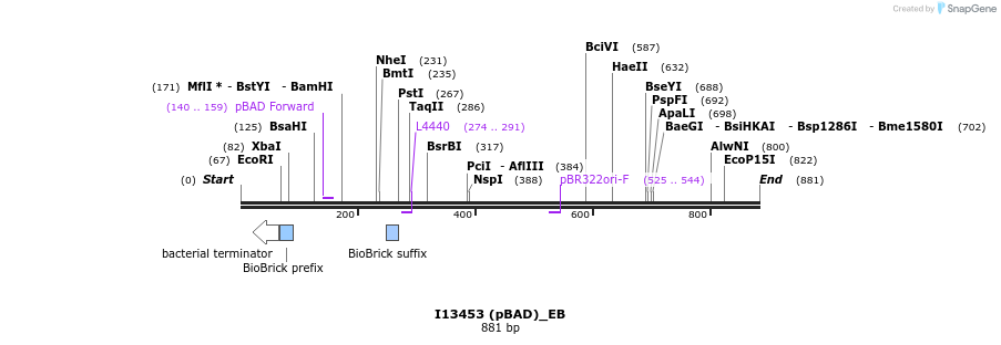 114138_map