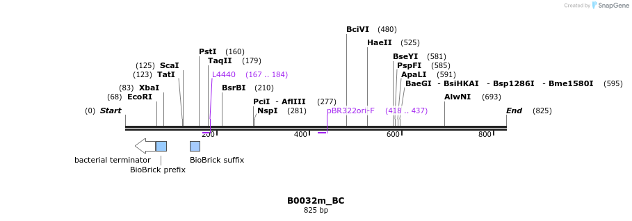 114146_map