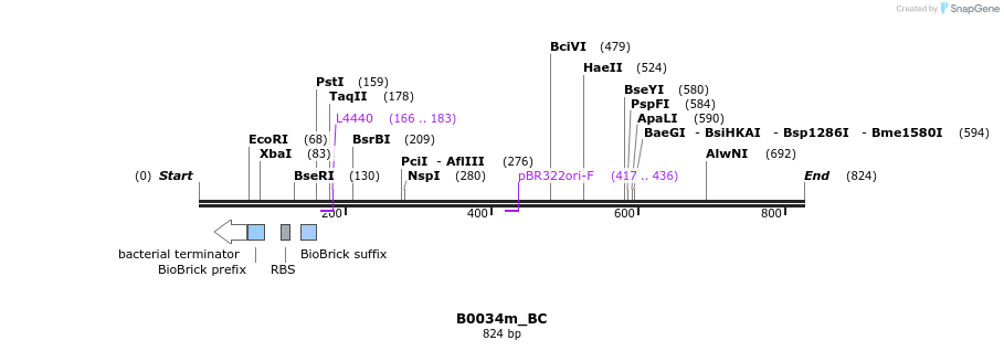 114151_map