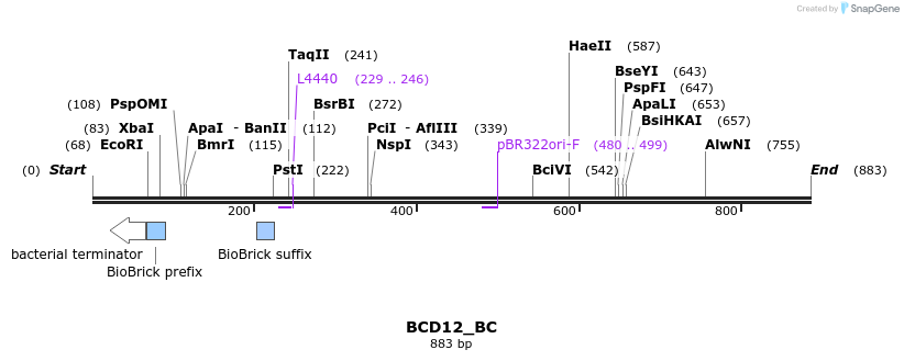 114153_map