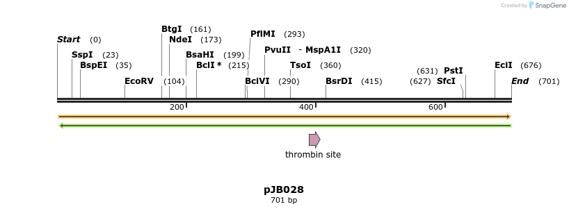 114162_map