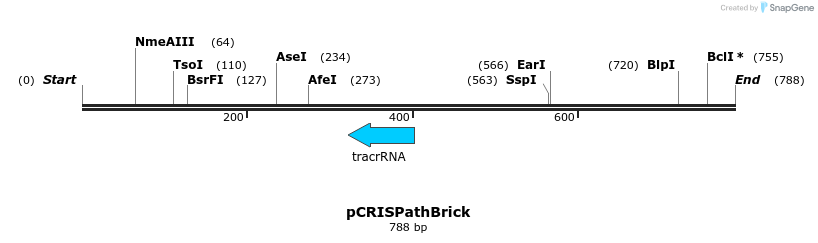 114163_map