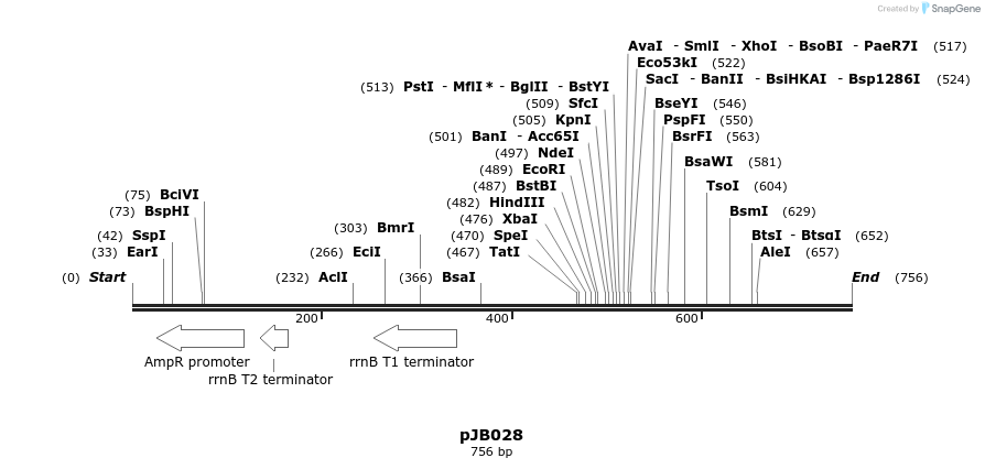 114164_map