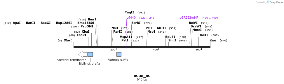 114165_map
