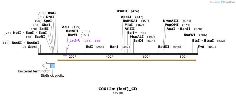 114167_map