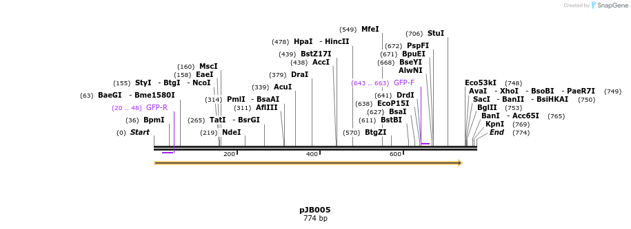 114177_map