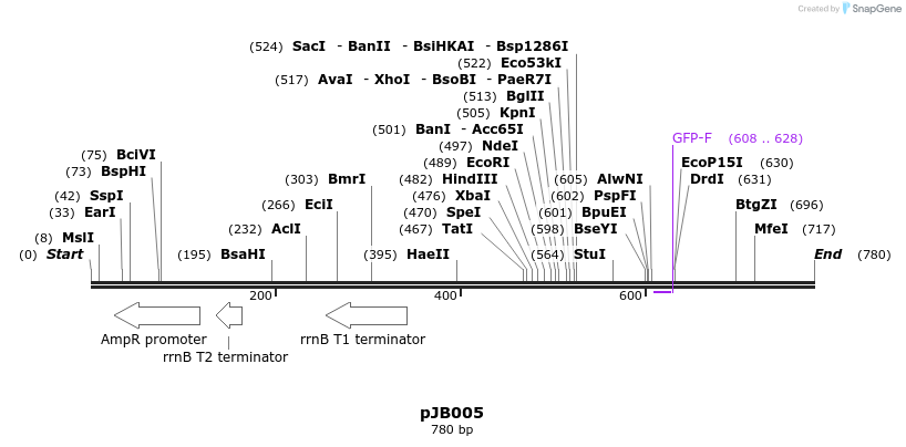 114178_map