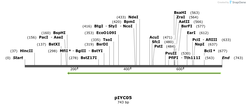 114179_map